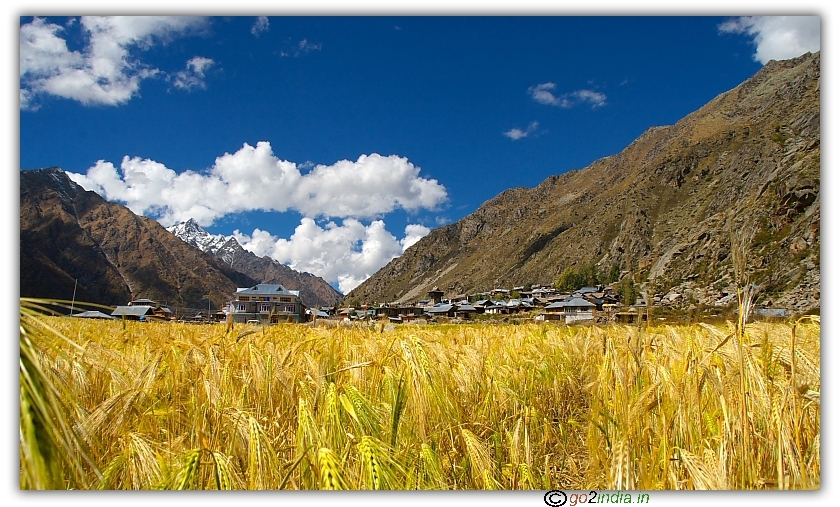 Chiltkul village Himachal