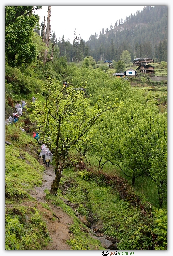 Difficult task to trek during rainy season for Himalayas