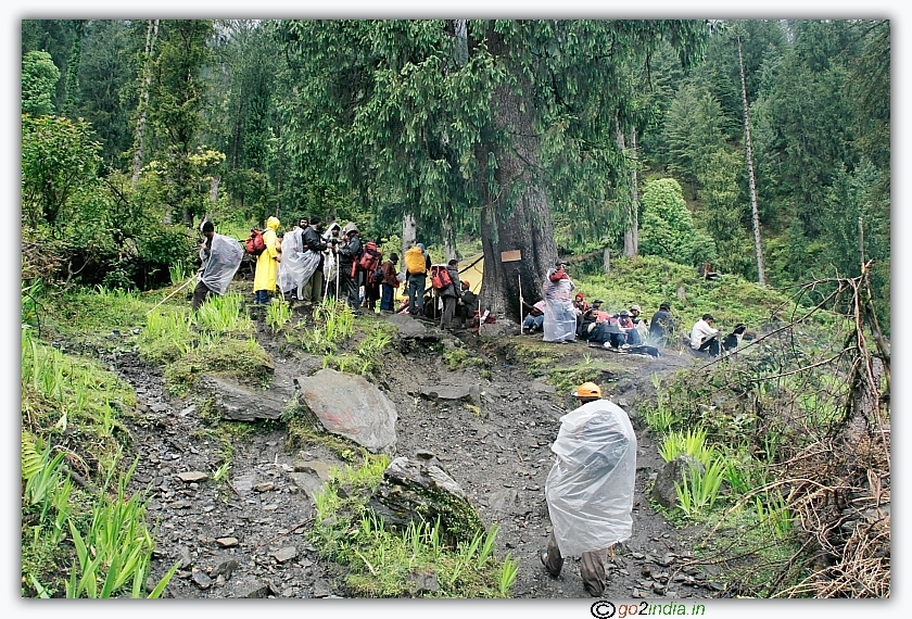 Rest area during Forest trekking