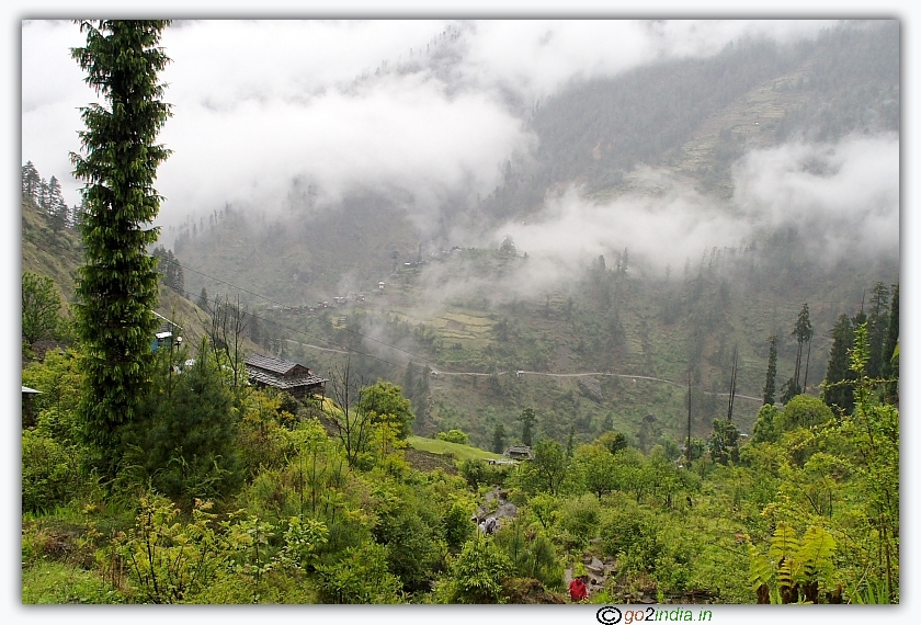 Rainy season at Himalayas
