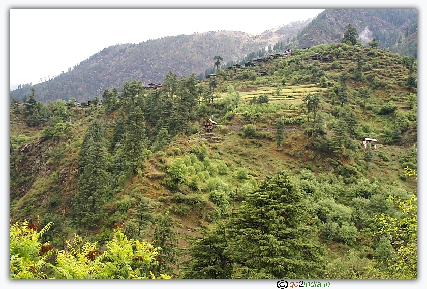 Lush green Himalayas