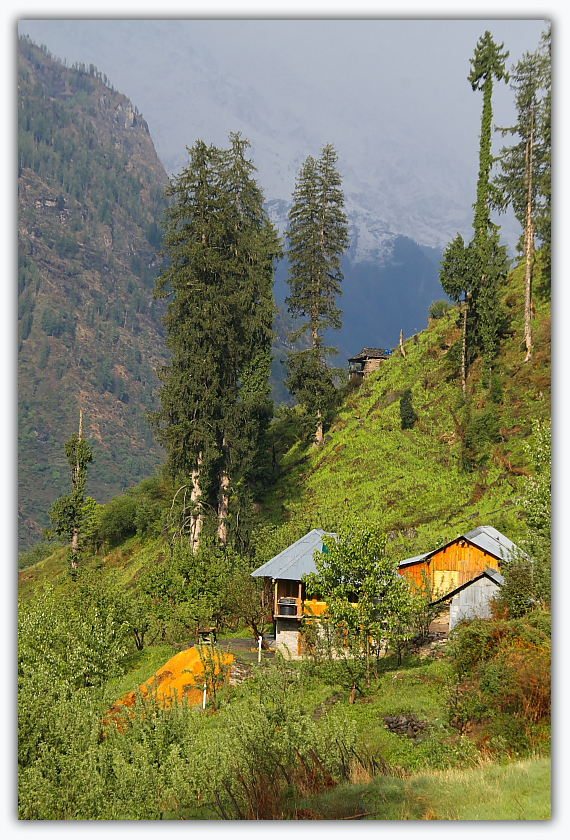 Village houses near Guna pani camp site