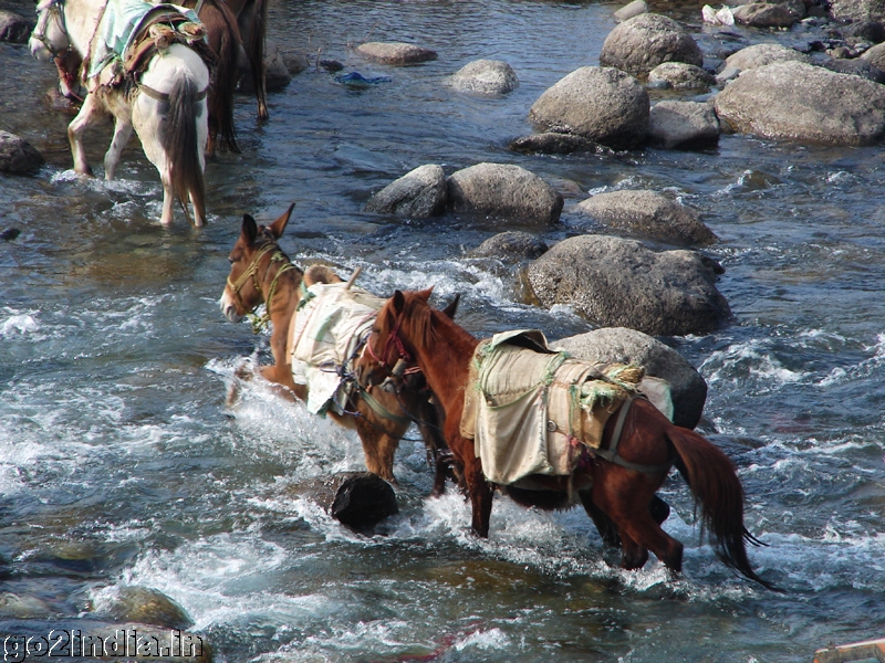 River flowing side of the temple