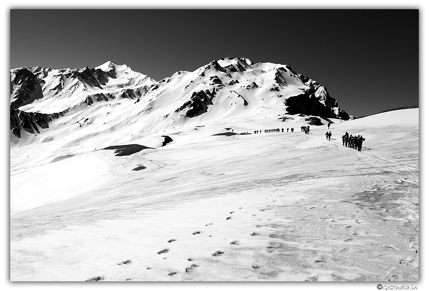 Himalayan in Black and White