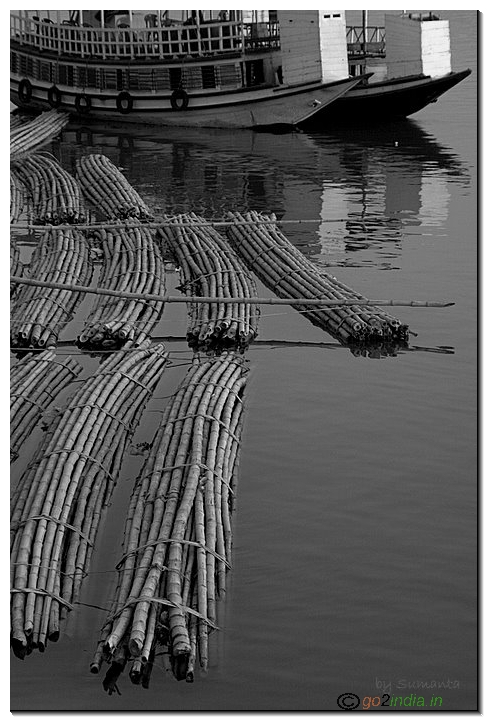 Curves and lines