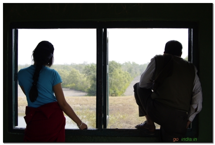 Sundarban