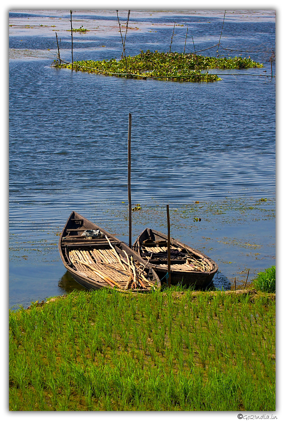 Purbasthali oxbow lake bird sanctuary