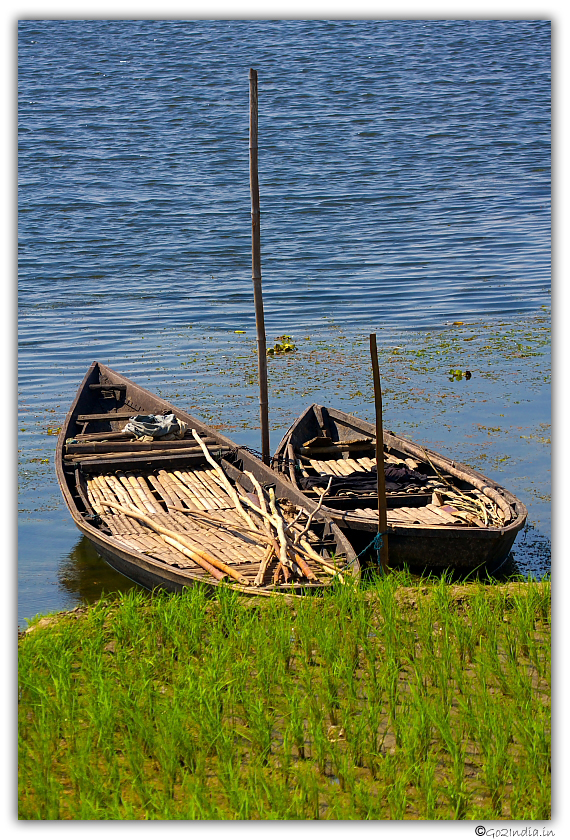 Purbasthali oxbow lake bird sanctuary
