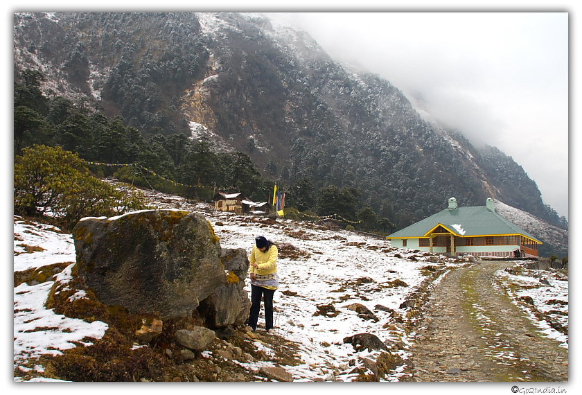 Snow in Yumthang valley in North Sikkim