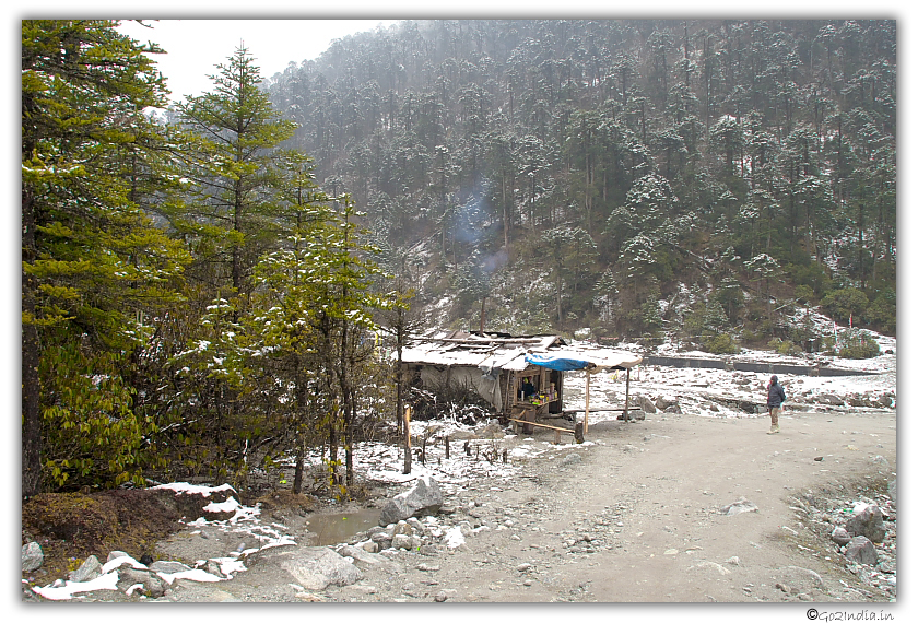Road in Yumthang valley in north Sikkim