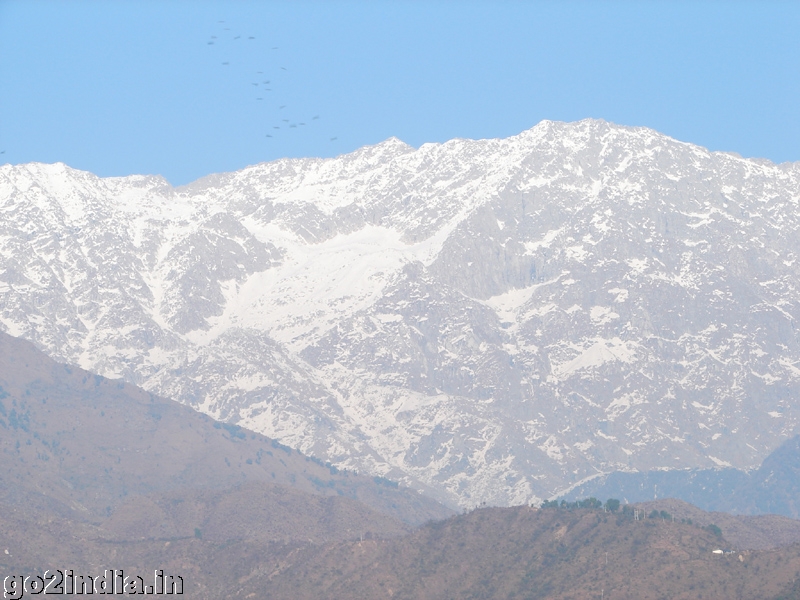 Dhauladhar Hill at Dharamsala
