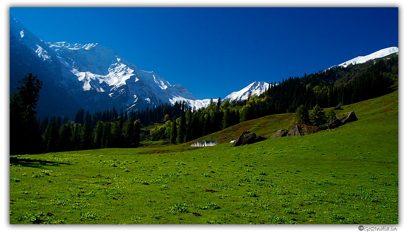 In the arms of mother nature, at Bhandak thatch