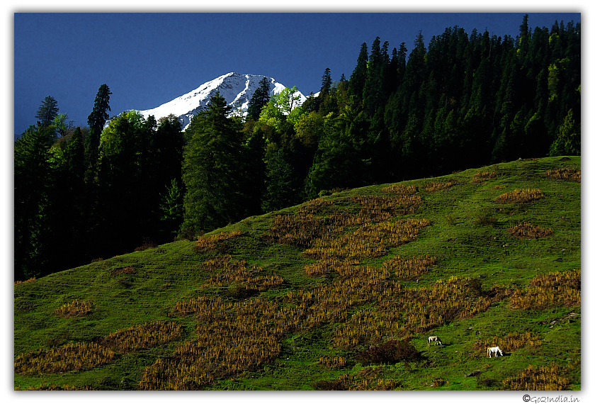 taken during moon light at Bhandak thatch