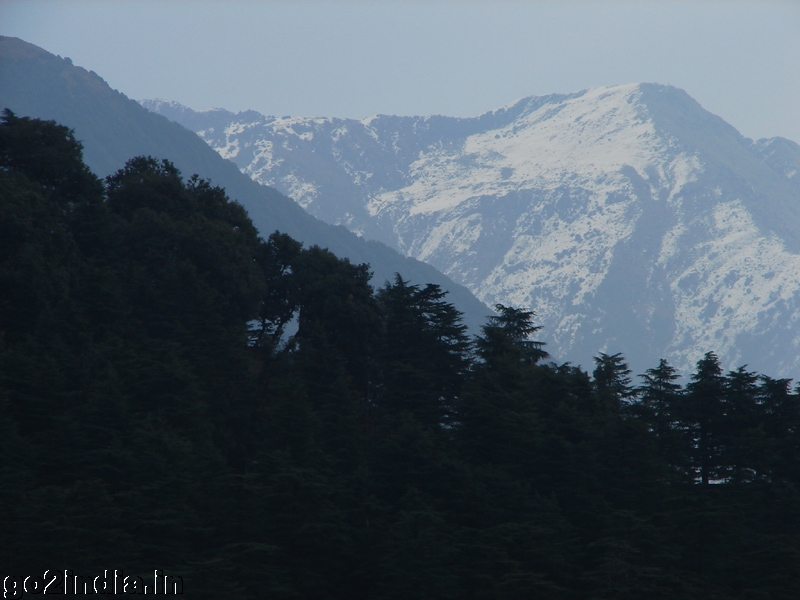 Snow capped Dhauladhar hills