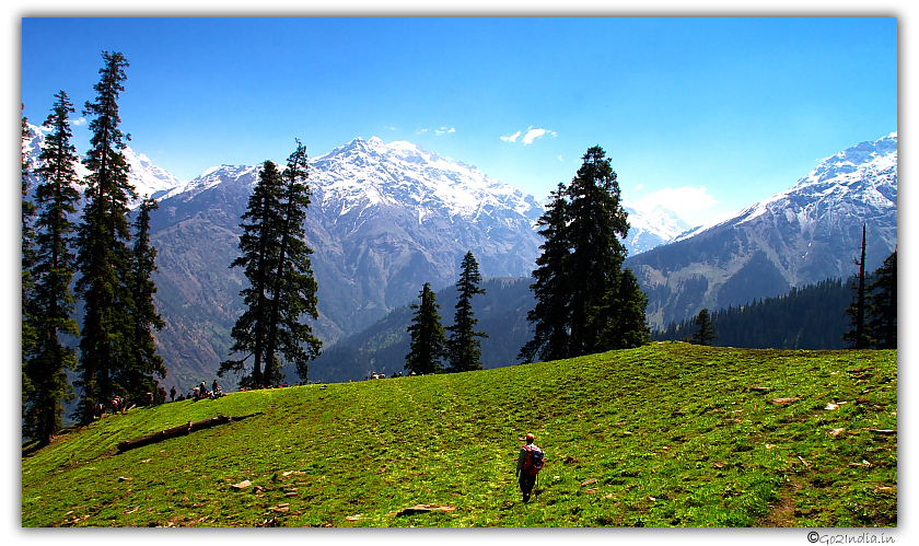 Tea point, view of Himalayas