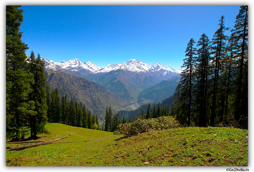 Last traces of trees at Himalayas