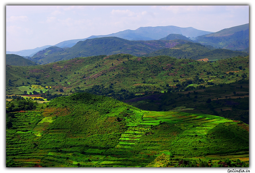 Green valley in Araku