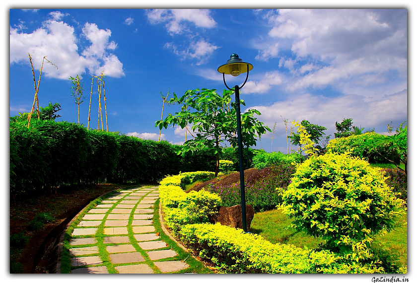 Grass in walkways inside resort