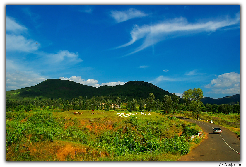 Road near Araku valley