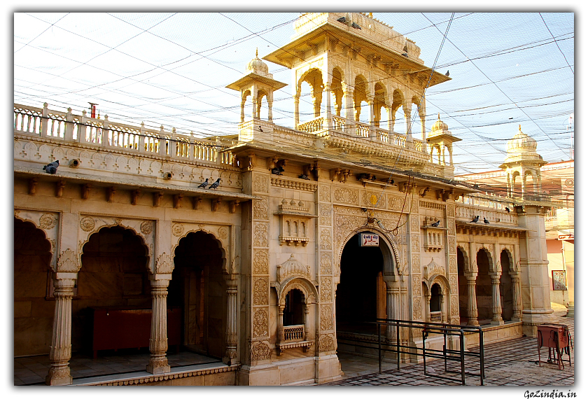 Karni mata mandir Bikaner