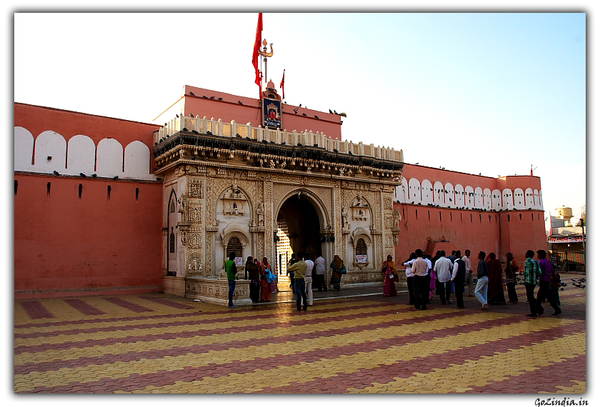 Karni mata mandir Bikaner