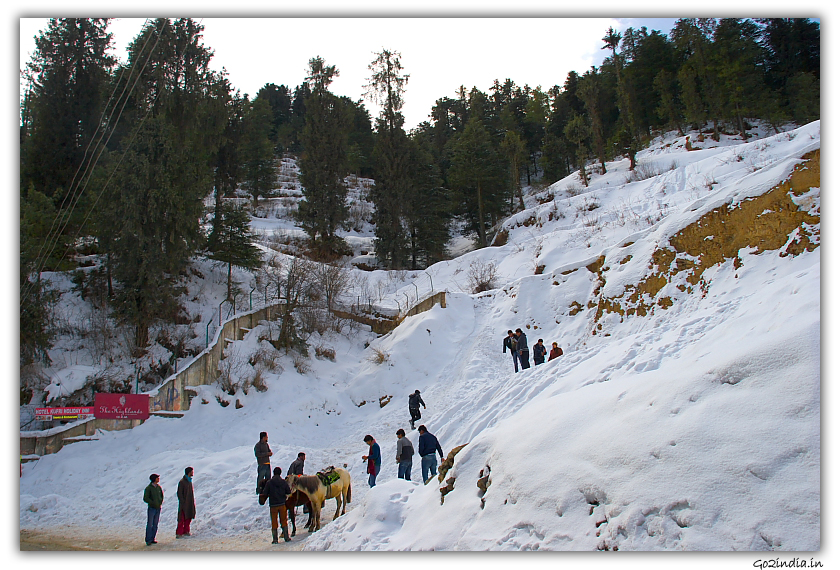 Snow in Kufri near Shimla