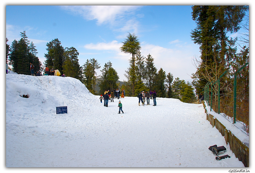 Snow around Kufri