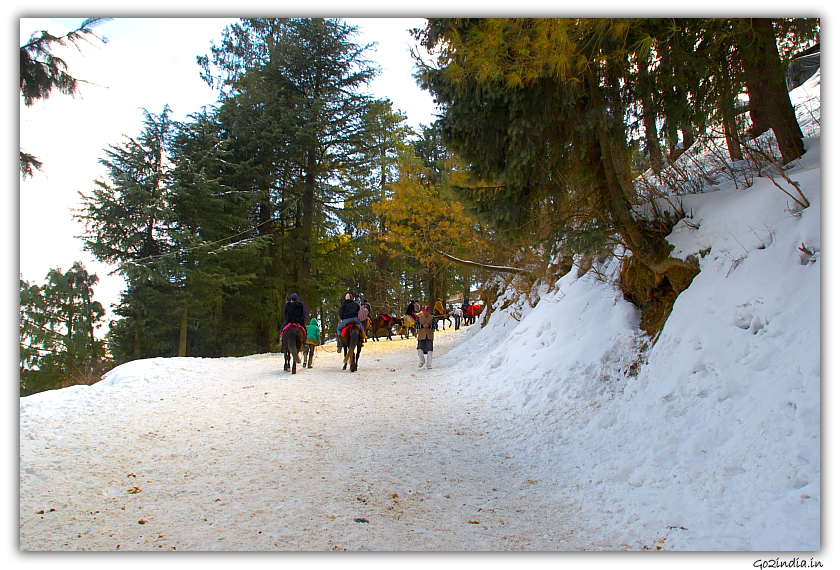 Snow on road at Kufri
