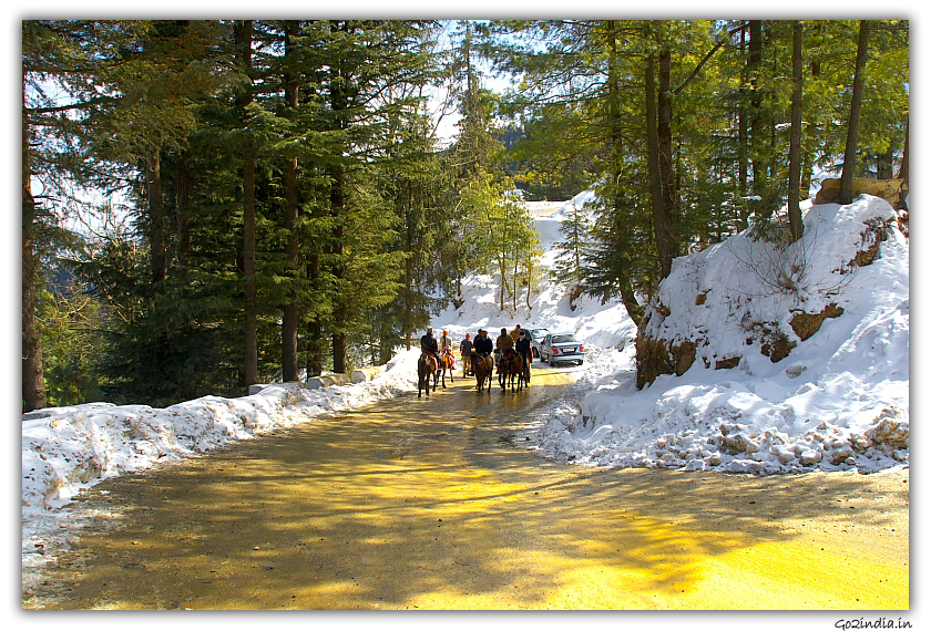 Tourist on Horse  at Kufri in winter 