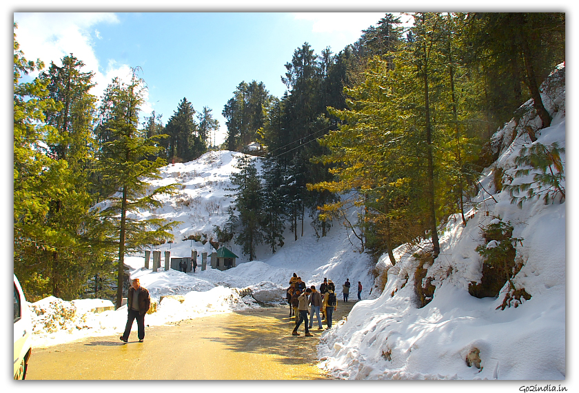 More snow at Kufri in Winter