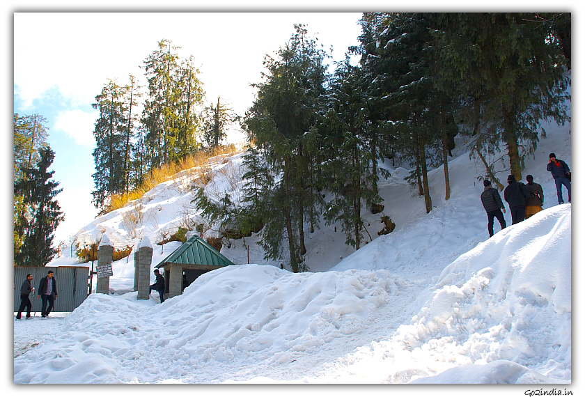 Snow in slopes of Kufri 