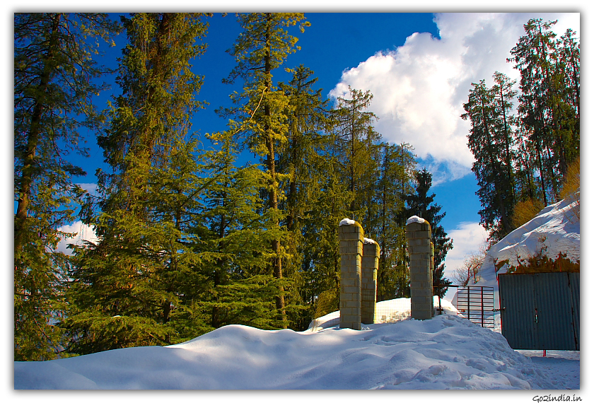 Snow in Kufri in winter