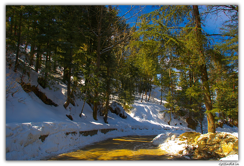 Roads are cleared in winter seasons at Kufri