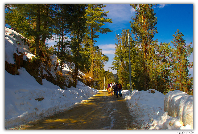 Tourist visiting Kufri in winter