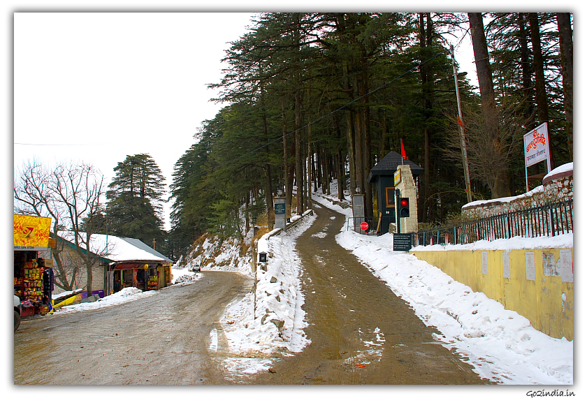 Winter at Wildflower hall on the way to Kufri at Shimla