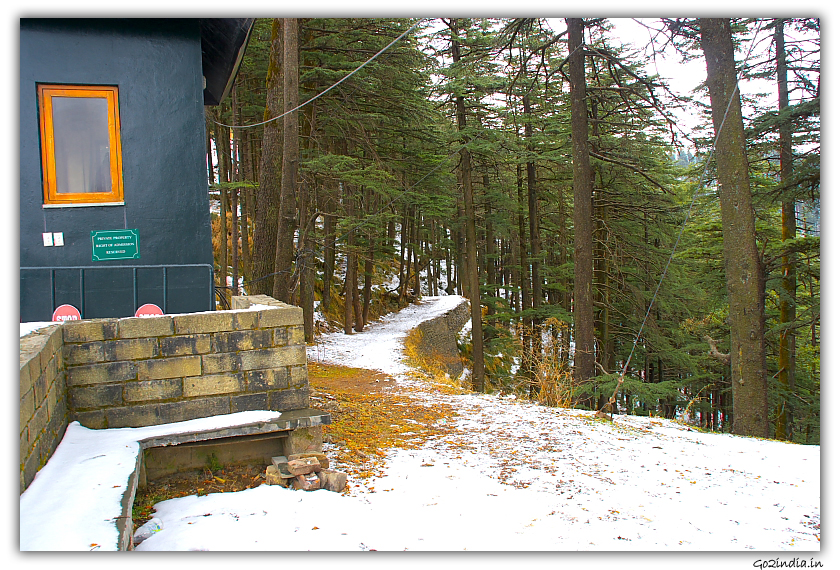 Jungle path by the side of Wild flower hall  at Shimla