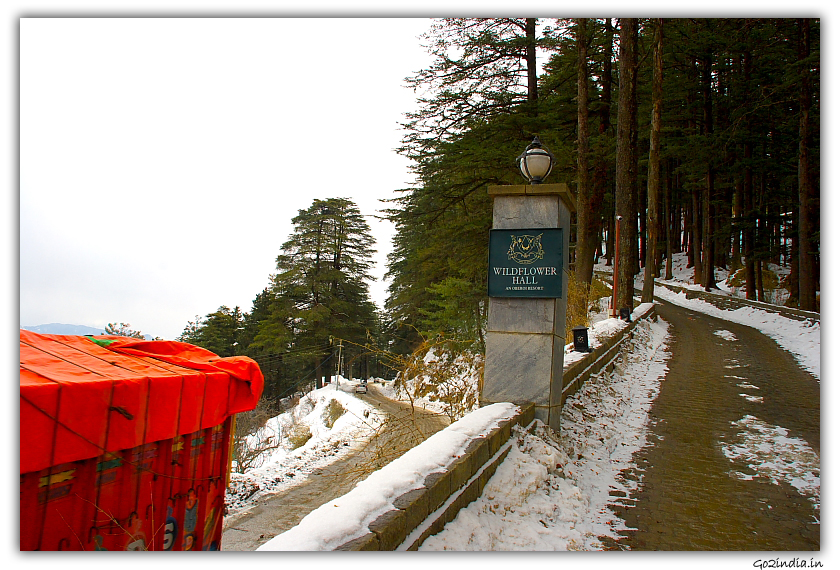Way to Wild Flower Hall at Shimla in winter 