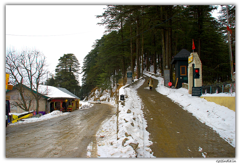 Slop with snow at Wild flower hall at Shimla