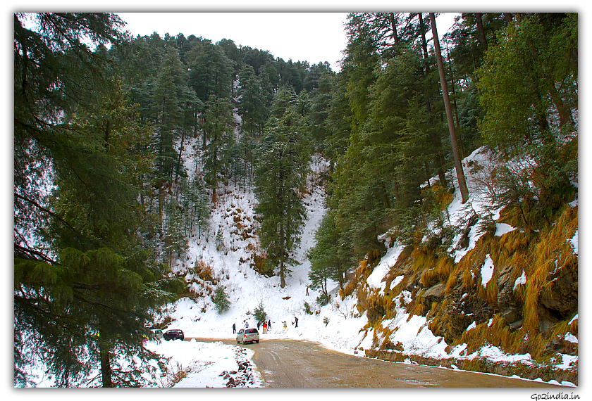 Way to Fufri snow in hills of Shimla