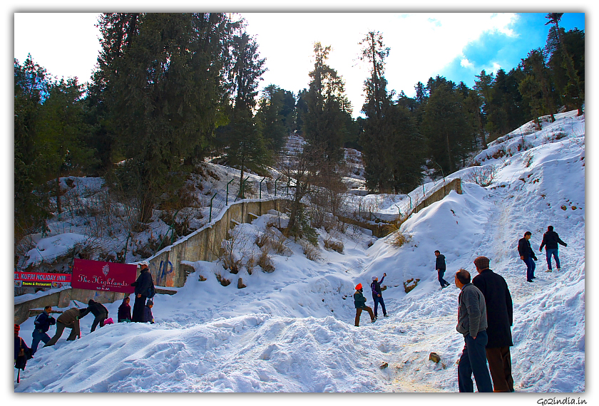 Snow in winter at Kufri