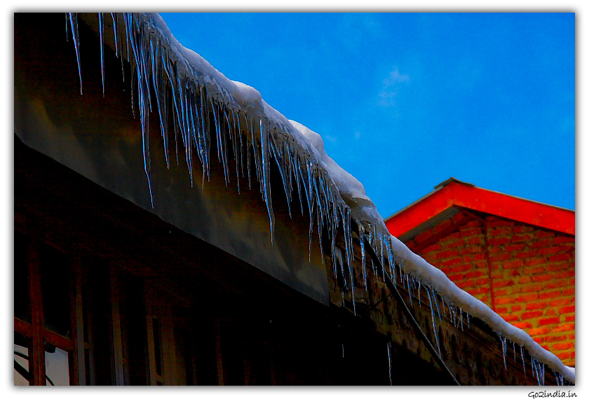 Melting snow as water line at Kufri in winter
