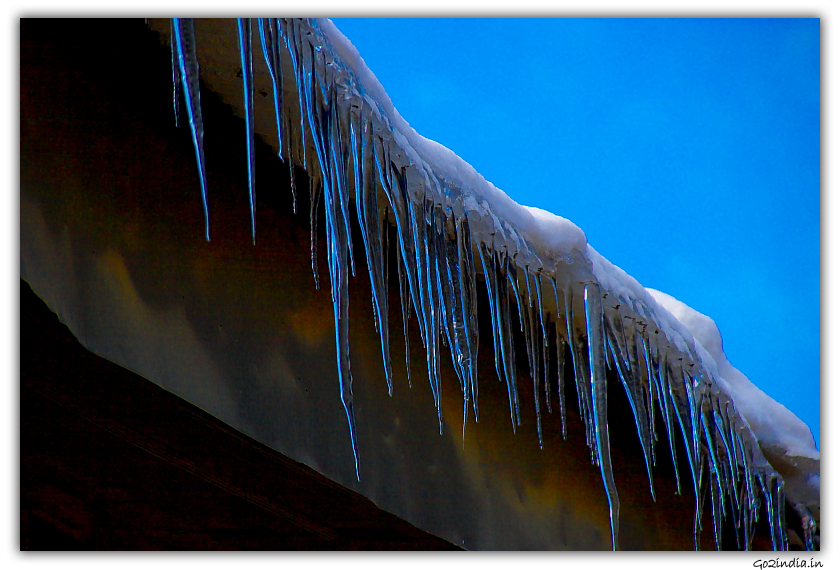 Meling  icicles  from roof top at Kufri in winter
