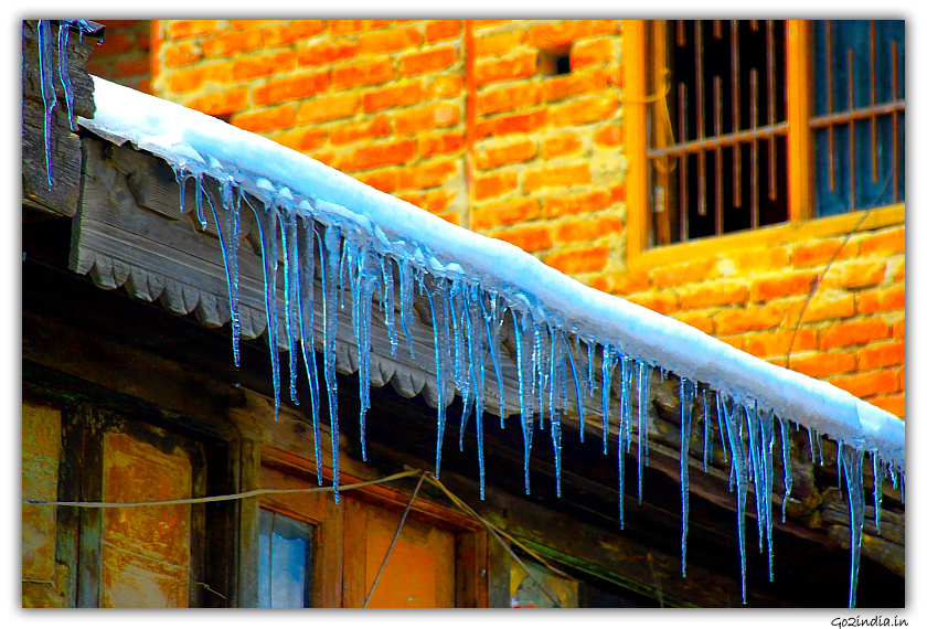 Water from  icicles while melting at Kufri in winter at Shimla