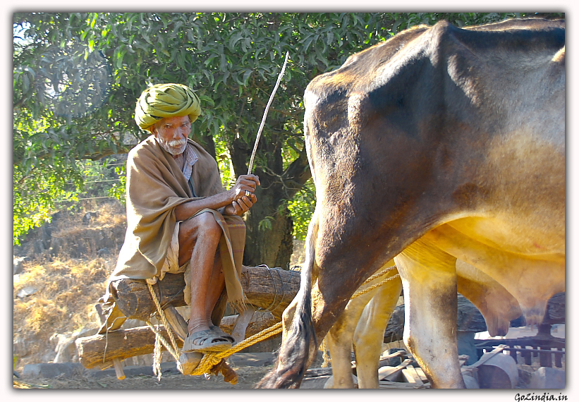 Old man near Kumbhalgarh 