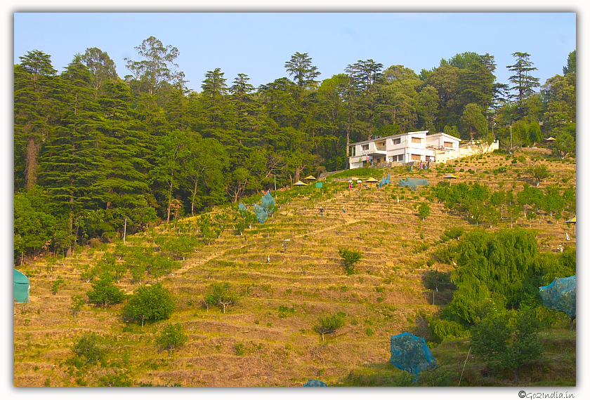 Fuits garden Chaubatia 8 KM from Ranikhet