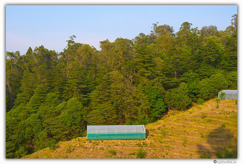 Chaubati fruits garden trekking and sightseeing