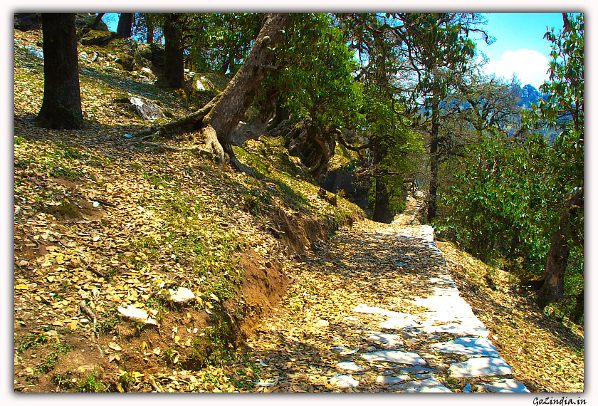 The entrance of the cave at Patal Bhuvaneswar