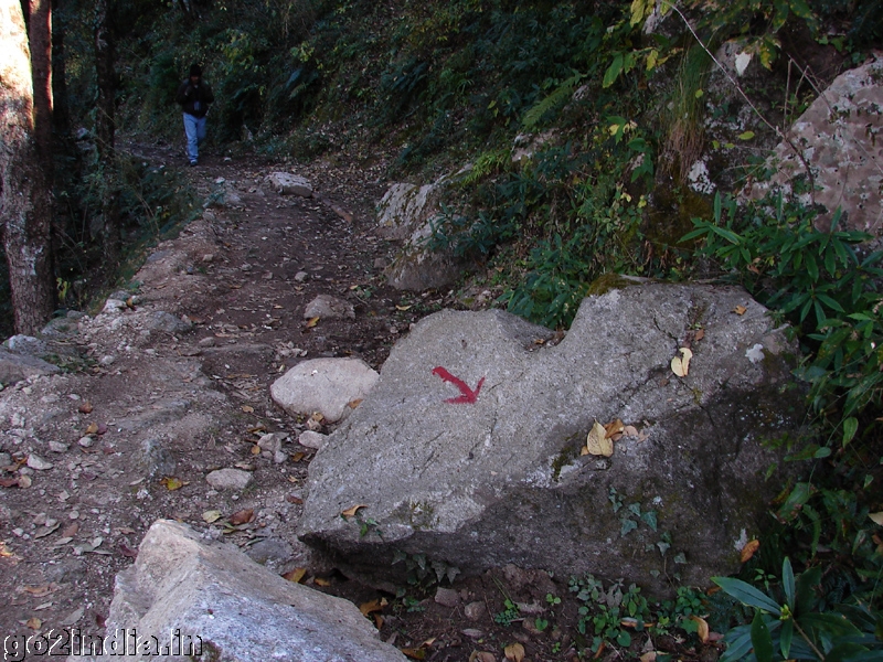 Rout mark on the trek