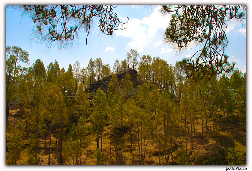 A rock which is in the shape of a snake head seen on the way to Almora