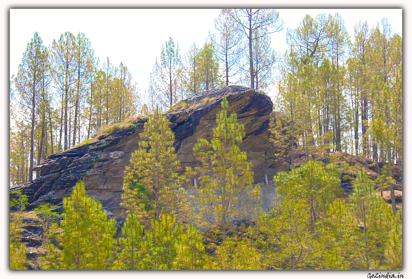 A rock which is in the shape of a snake head seen on the way to Almora